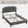 Double Upholstered Velvet Bed Frame with with Diamond Button Image 2