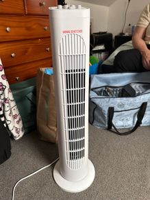 Fan