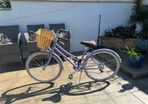 Ladies Bicycle - Raleigh Classic Sherwood Low Step Bike