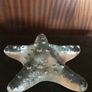 Glass Starfish Image 4