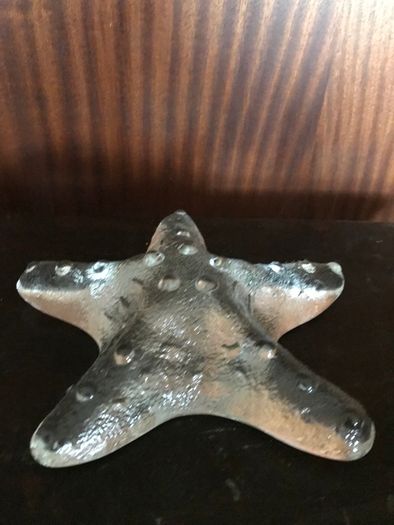 Glass Starfish