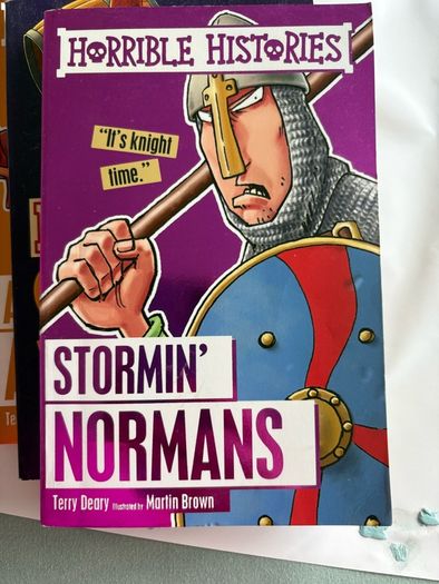Horrible Histories Books