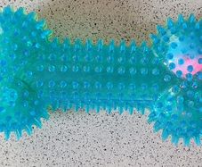 New - A Cute Dog Toy - Squeeks and Flashes - #