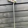 Scotty Cameron Champions Choice Button Back 33 Image 2