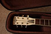 Amistar single cone brass resonator guitar
