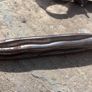 Unused - Hilti TE-HX SM 50 Pointed Chisel For TE 3000 & H28 Image 4