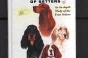 The Essence Of Setters - An In-depth Study Of The Four Setters