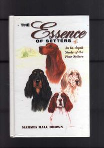 The Essence Of Setters - An In-depth Study Of The Four Setters