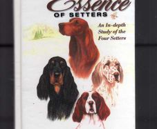 The Essence Of Setters - An In-depth Study Of The Four Setters