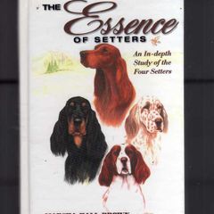 The Essence Of Setters - An In-depth Study Of The Four Setters