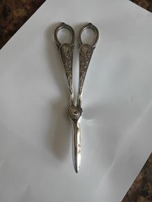 Grape Scissors.