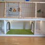 Rabbit hutch Image 4