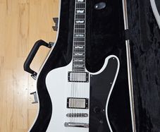 ESP Ltd Deluxe Phoenix 1000