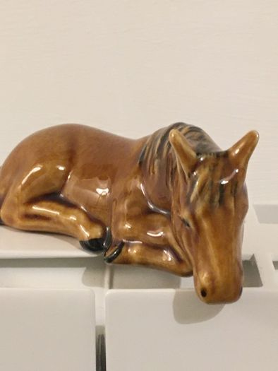 Pony