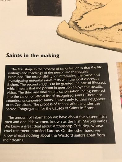 The 17 Irish Martyrs