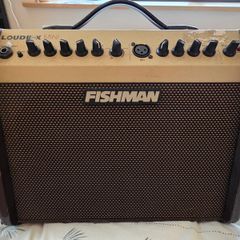 Fishman Loudbox Mini