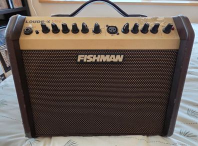Fishman Loudbox Mini