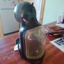 Dolce Gusto Image 3