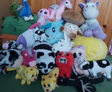Mix of teddys