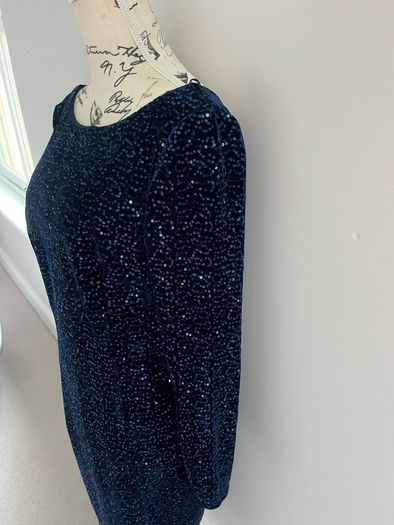 Hobbs Navy Sawyer Sequins Dress