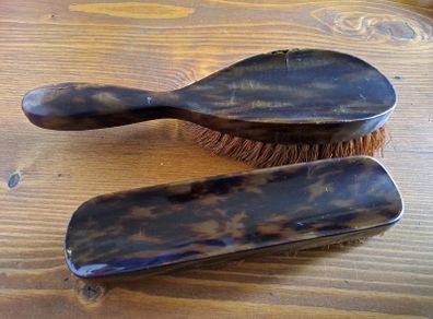 Vintage Faux Tortoiseshell Brush Set