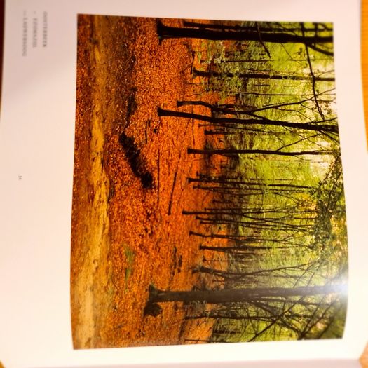 The Holland Album. Illustrating The Landscape Of Holland In All Its Glory BEAUTIFUL LARGE VOLUME BOOK.