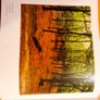 The Holland Album. Illustrating The Landscape Of Holland In All Its Glory BEAUTIFUL LARGE VOLUME BOOK. Image 5