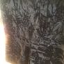 Velvet Playsuit Size 8 Image 2