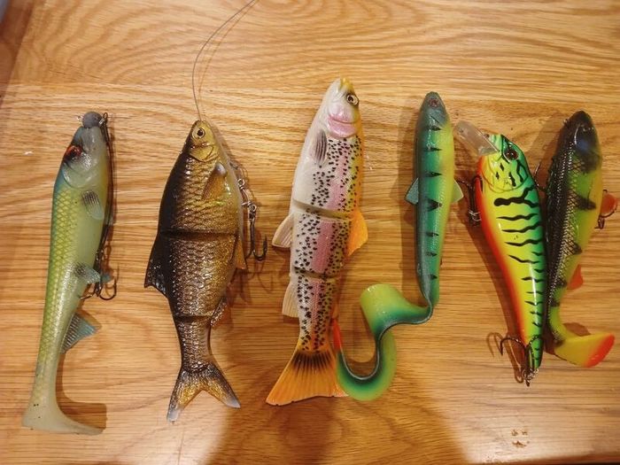fishing