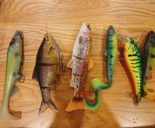 fishing