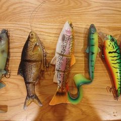 fishing
