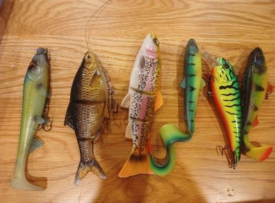 fishing