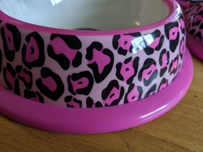 Dog bowl medium size.