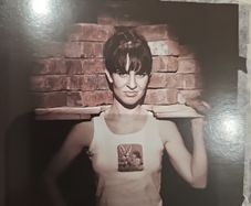 Tracy Bonham - The Birdens If Being Upright.