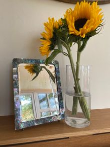 Vintage c1950s Mother of Pearl Bevelled Mirror