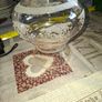 3 different Glass Shades Price is for 1 Postage or Collection, Measurements are in the photos, Image 7