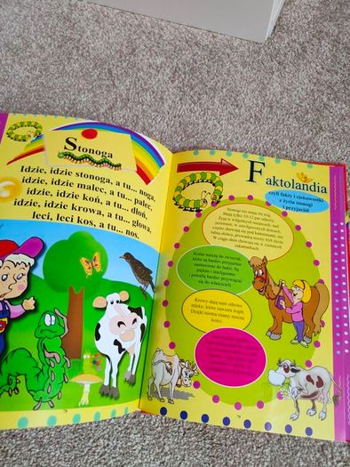 Excellent condition 2 hard cover books in Polish