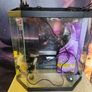 fish tank 20-25l Image 3