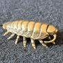 3 brass Insects, Solid brass. Image 7