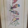 Decorated Arts Framed Matted Wild Bird Print Signed Edwards Image 4