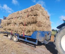 Hay
