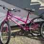 2 bikes for free Image 3