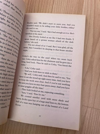 Kate Thompson - Creature of the night - Teen book