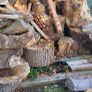 Firewood logs - Need Splitting Image 7