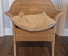 Armchair Rattan Wicker Cane with Seat Cushion