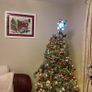 Christmas Tree Balsam Hill Image 3