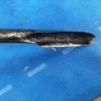 20mm Spoon Bit / Gouge Image 2