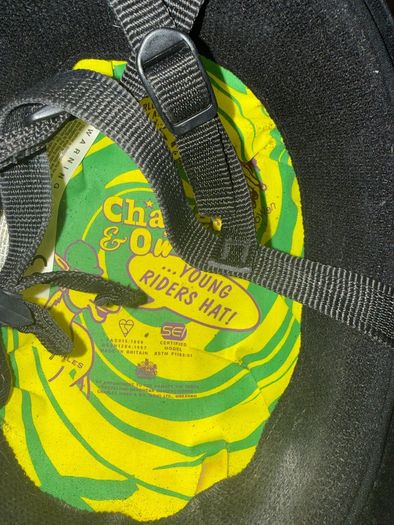 horse riding hat and back protector