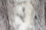 Arabella &amp; Addison  faux fur jacket