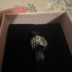 Pandora charm